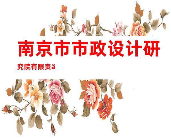 南京市市政设计研究院有限责任公司新疆分公司