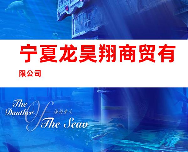 宁夏龙昊翔商贸有限公司