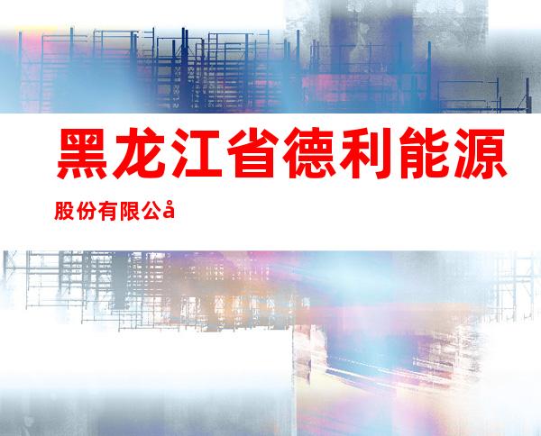 黑龙江省德利能源股份有限公司